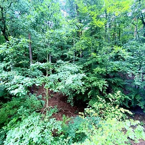 Forest - 23 Marca By Grand Sopot